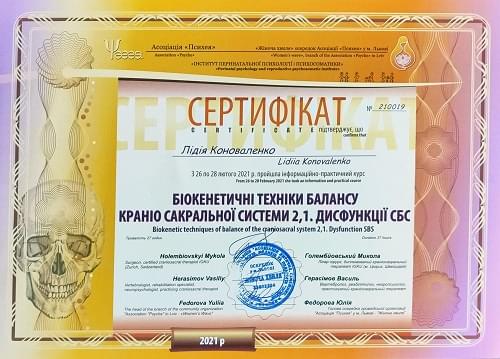 Біокенетичні техніки балансу краніо сакральної системи 2,1. Дисфункції СБС Лідія Коноваленко